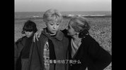 [大路][1954][意大利语中字][1080P][3